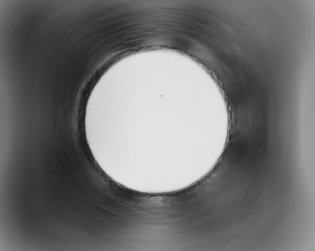 X0000089850828200707121716