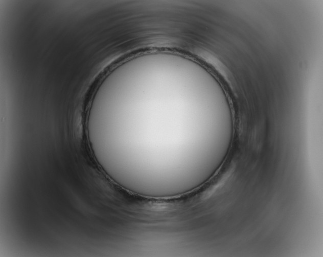X0000089850829200707121716