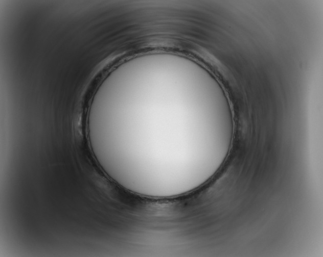 X0000089850830200707121716