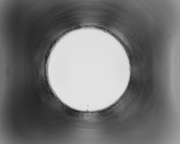X0000089850832200707121716