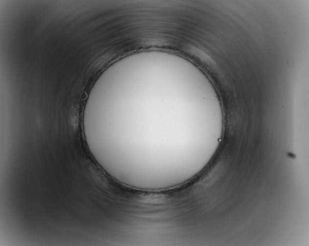 X0000089850833200707121716