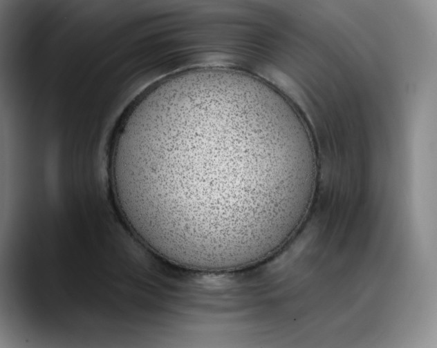 X0000089850835200707121716