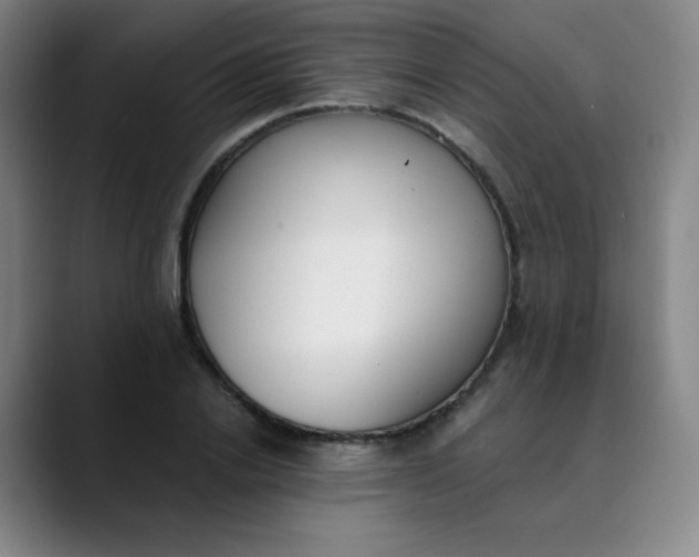 X0000089850838200707121716