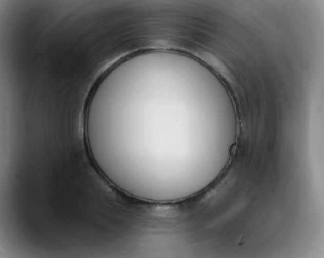 X0000089850839200707121716