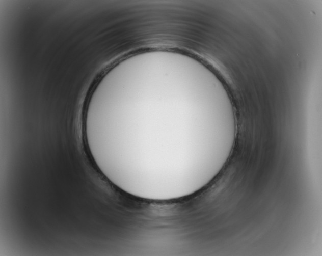 X0000089850840200707121716