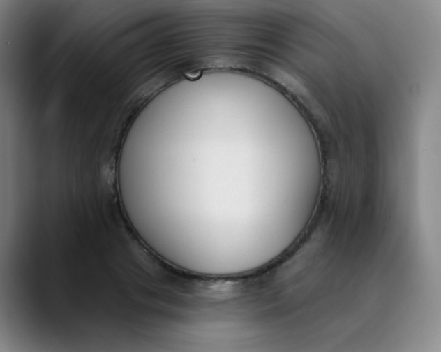 X0000089850841200707121716