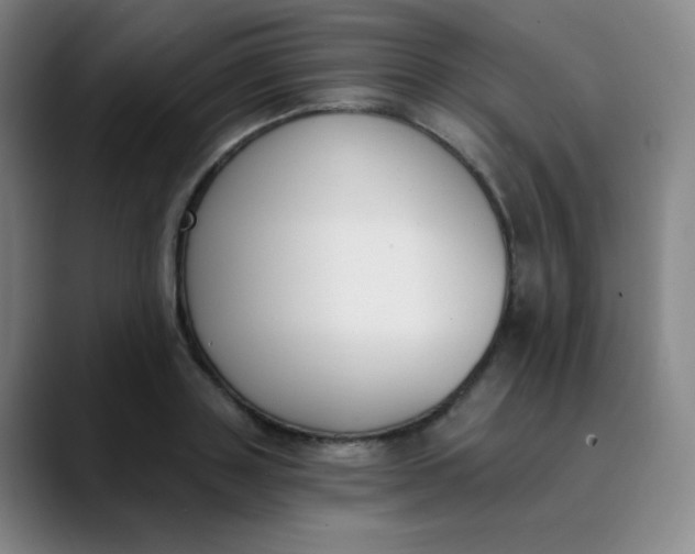 X0000089850843200707121716