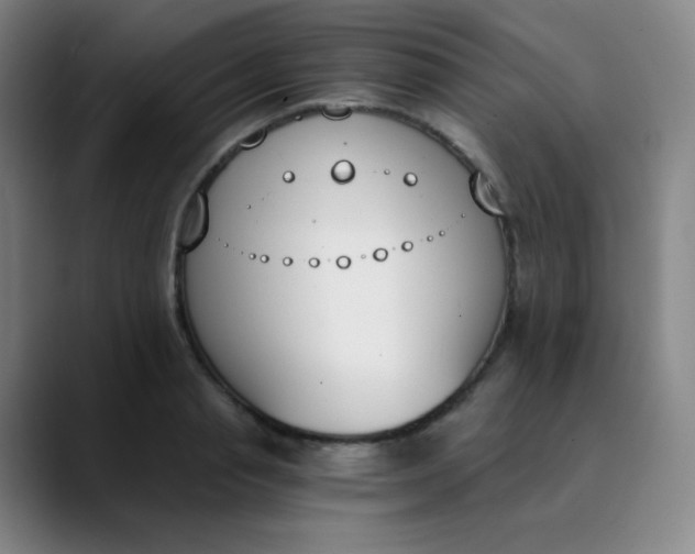 X0000089850845200707121716