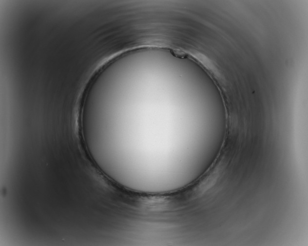 X0000089850846200707121716