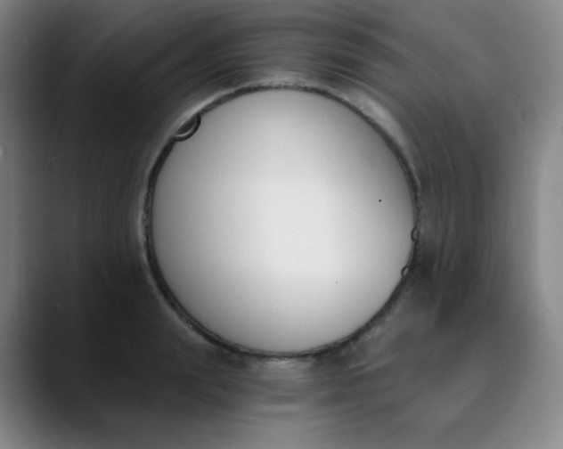 X0000089850847200707121716