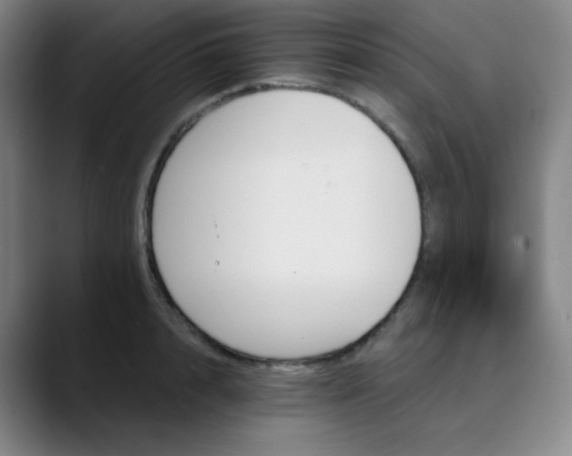 X0000089850848200707121716