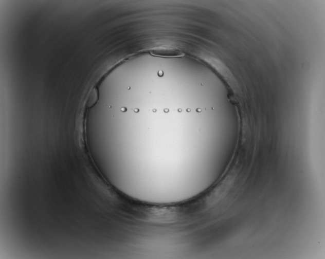 X0000089850850200707121716