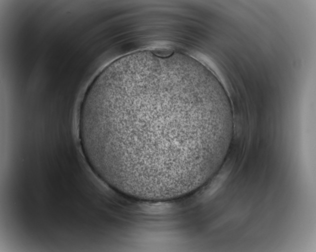 X0000089850851200707121716