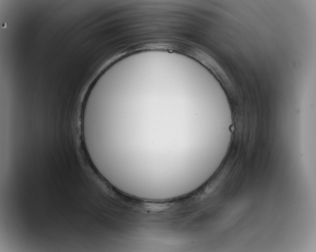 X0000089850852200707121716