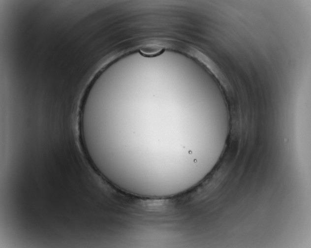 X0000089850853200707121716