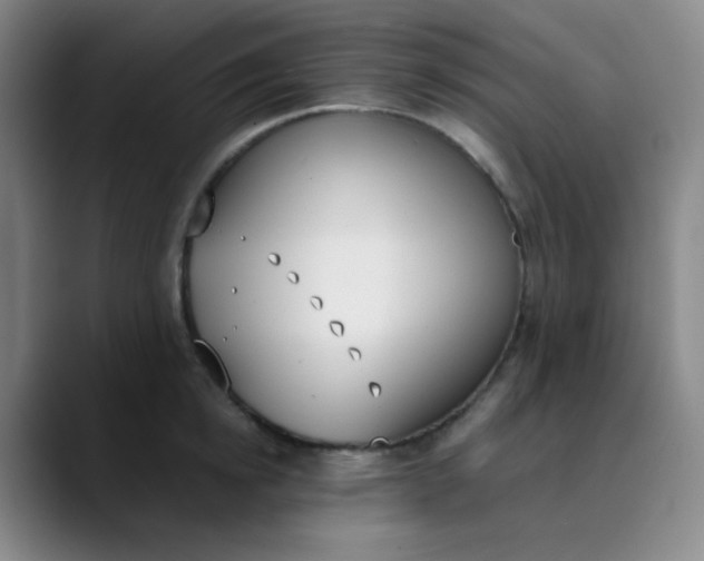 X0000089850854200707121716