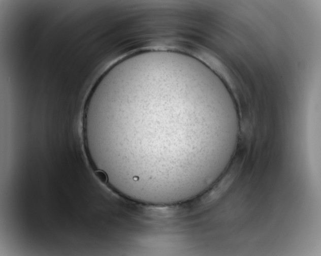 X0000089850855200707121716
