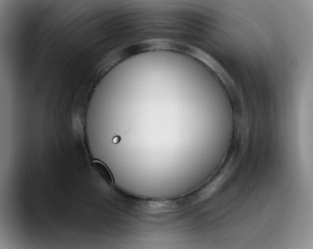 X0000089850857200707121716