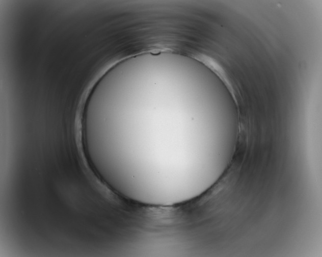 X0000089850859200707121716