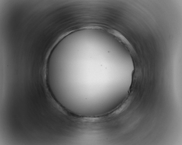 X0000089850860200707121716
