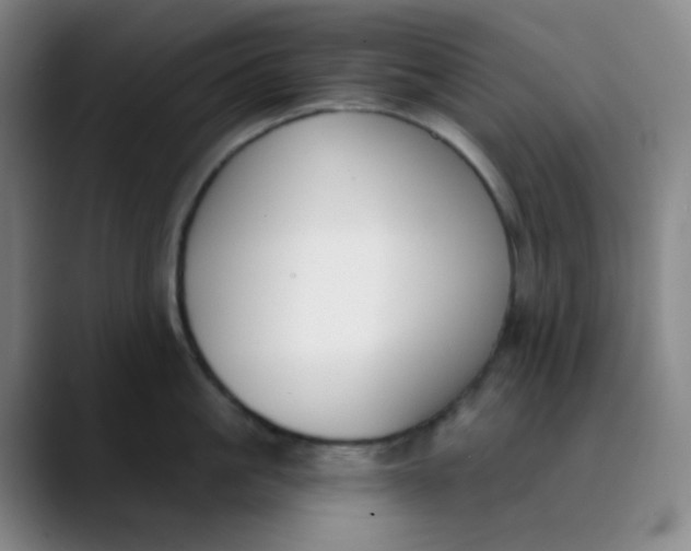 X0000089850861200707121717