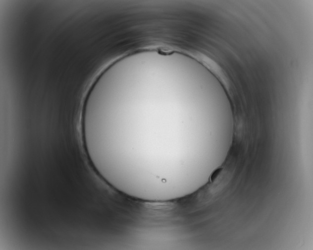 X0000089850863200707121717