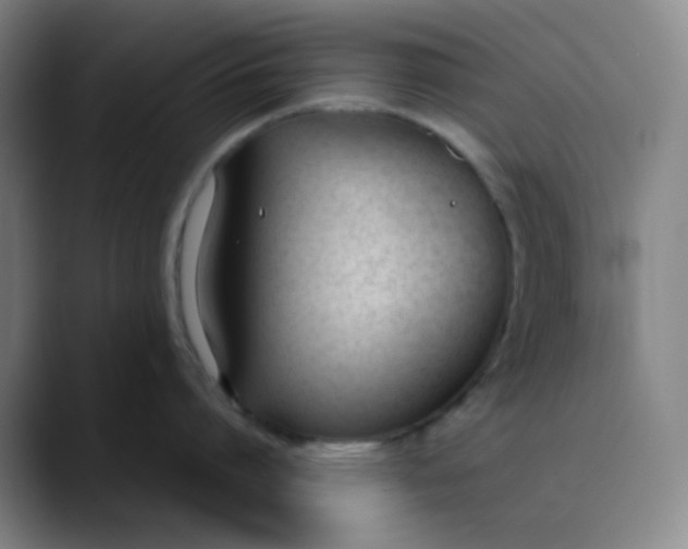 X0000089850864200707121717