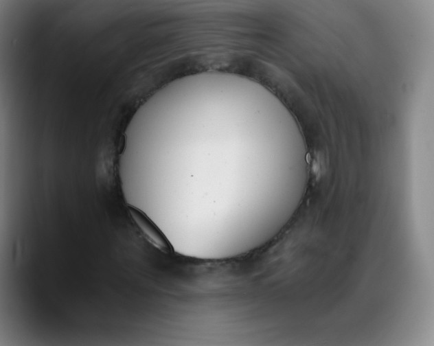 X0000089850867200707121716