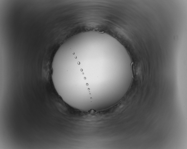 X0000089850868200707121716