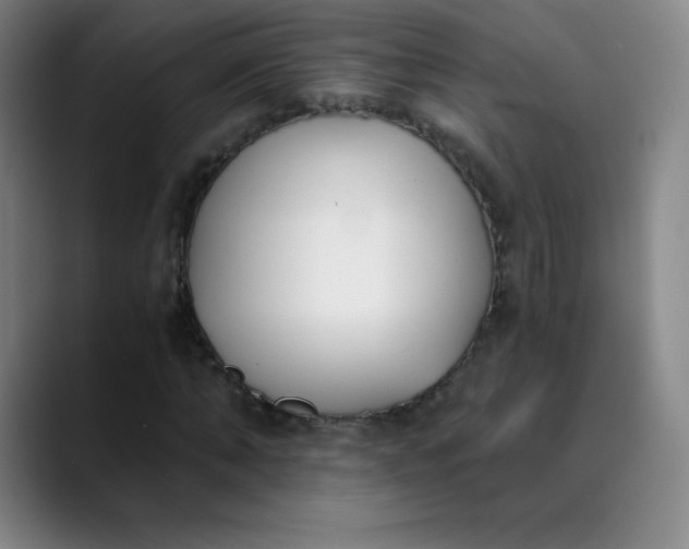 X0000089850870200707121716