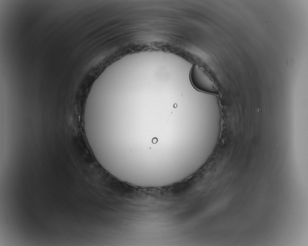 X0000089850871200707121716