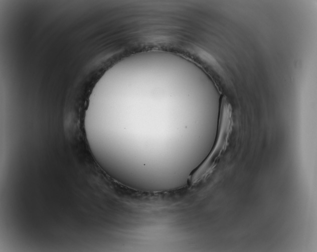 X0000089850872200707121716