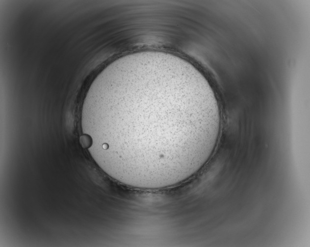 X0000089850874200707121716