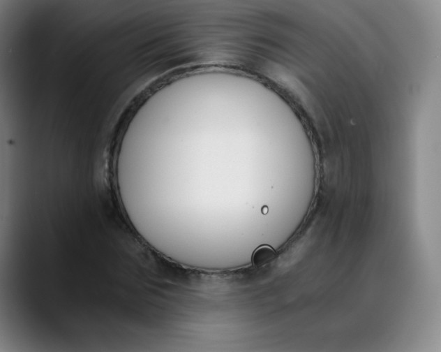 X0000089850875200707121716