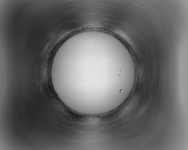 X0000089850878200707121716