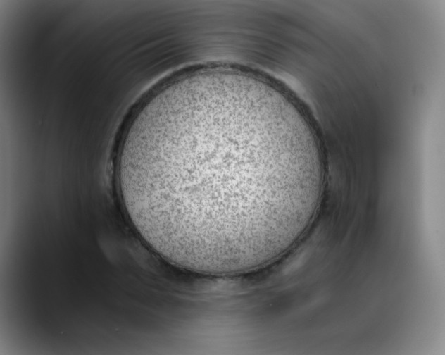 X0000089850879200707121716