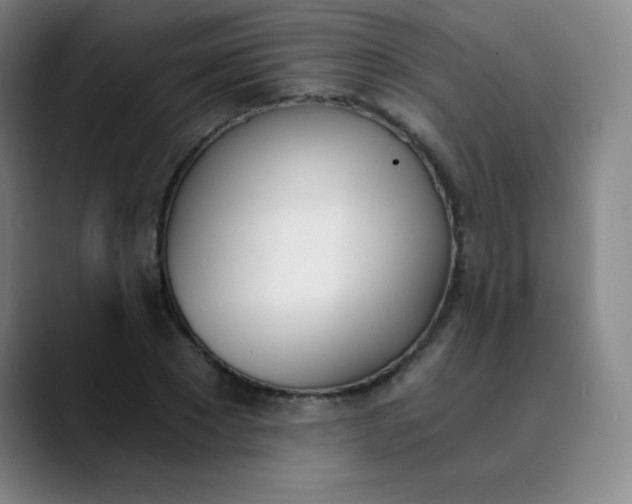 X0000089850881200707121716