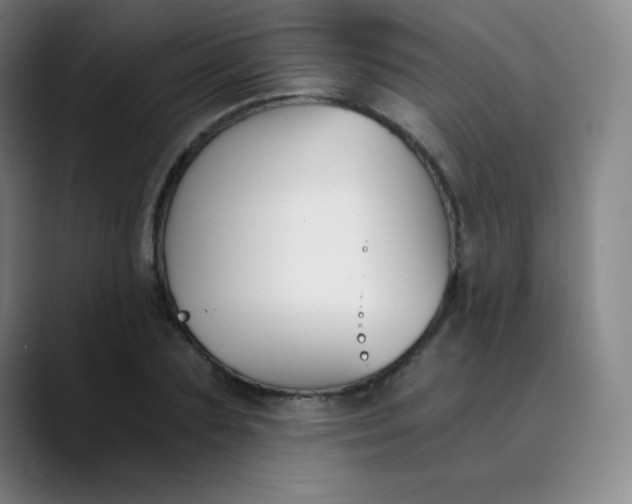 X0000089850883200707121716