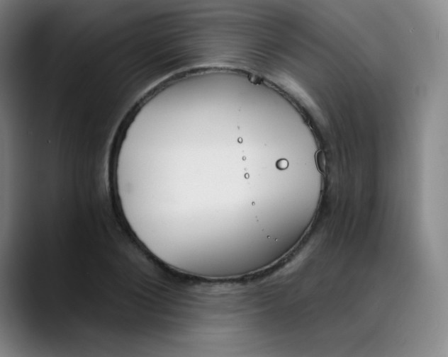 X0000089850884200707121716