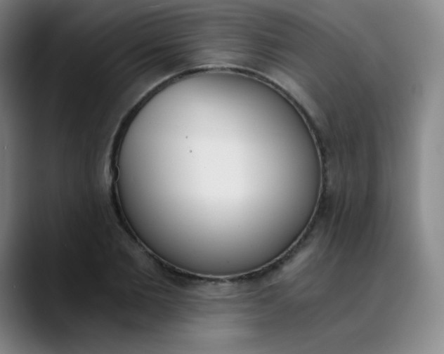 X0000089850885200707121716