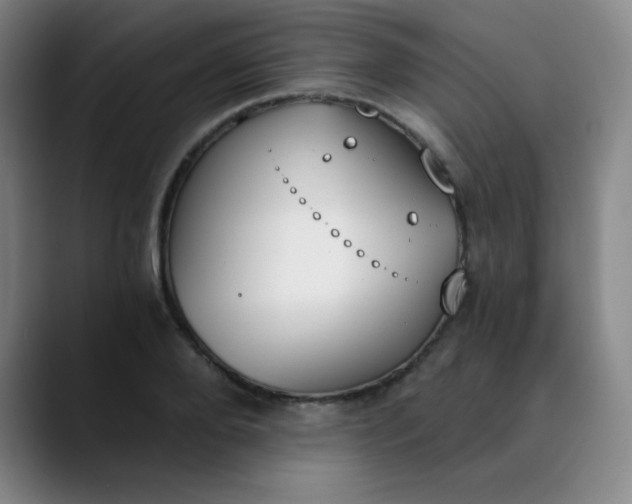 X0000089850888200707121716