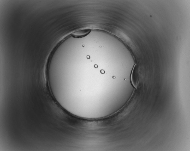 X0000089850892200707121716