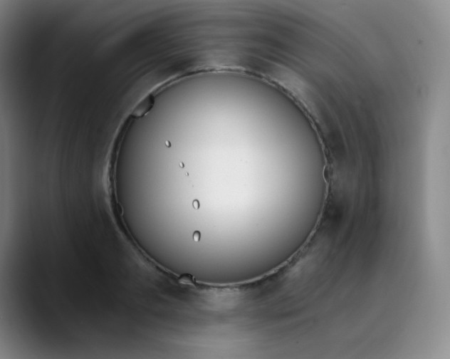 X0000089850893200707121716