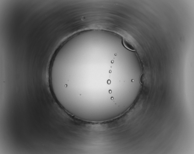X0000089850896200707121716