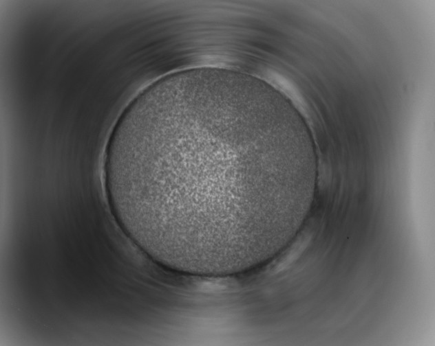 X0000089850899200707121716