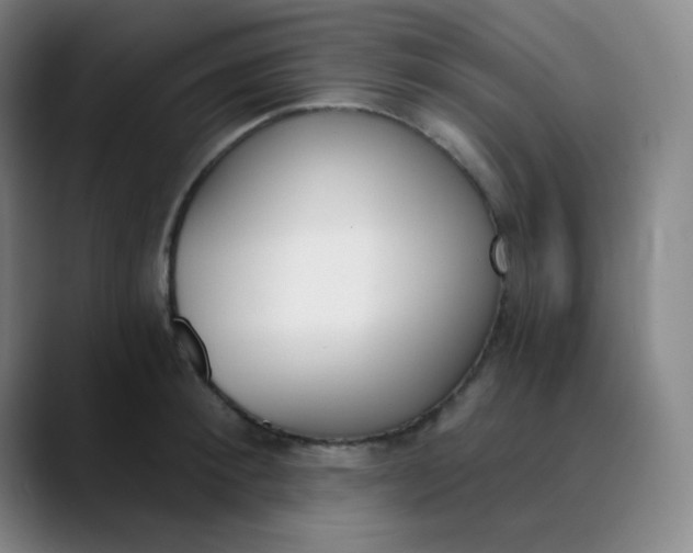 X0000089850900200707121716