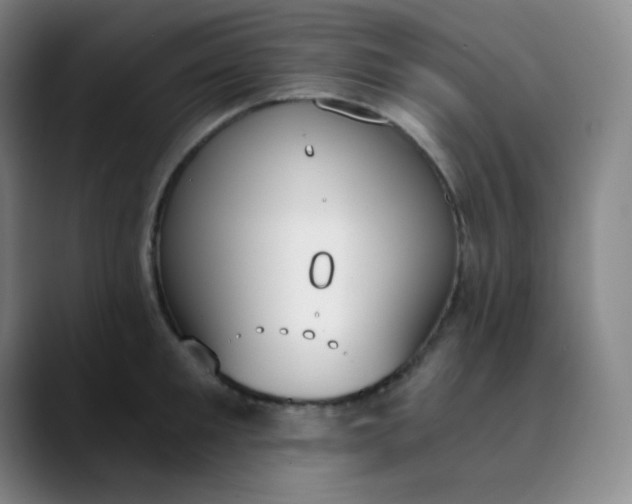 X0000089850901200707121716