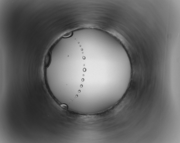 X0000089850902200707121716