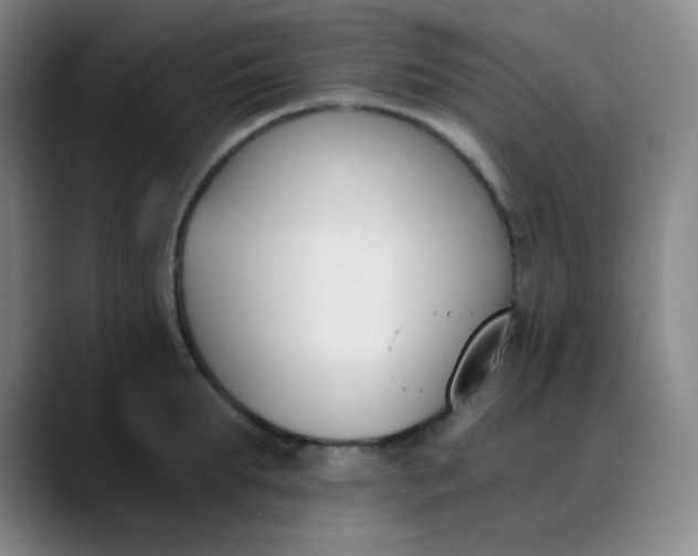 X0000089850903200707121716