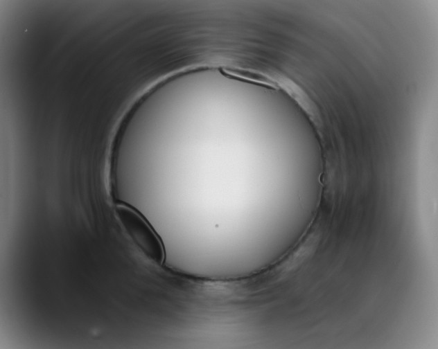 X0000089850904200707121716